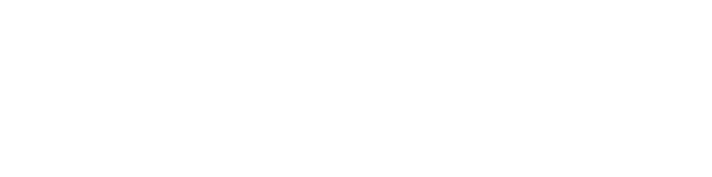 blsv.de Logo